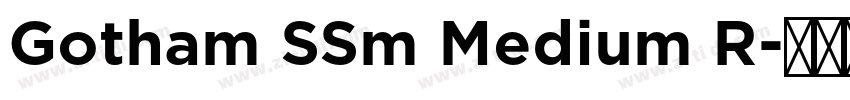 Gotham SSm Medium R字体转换